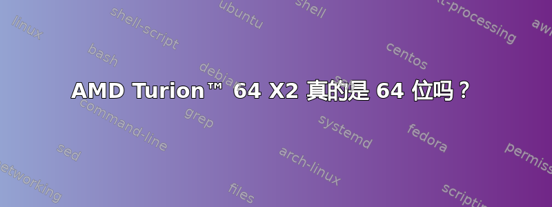 AMD Turion™ 64 X2 真的是 64 位吗？