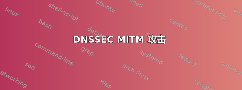 DNSSEC MITM 攻击