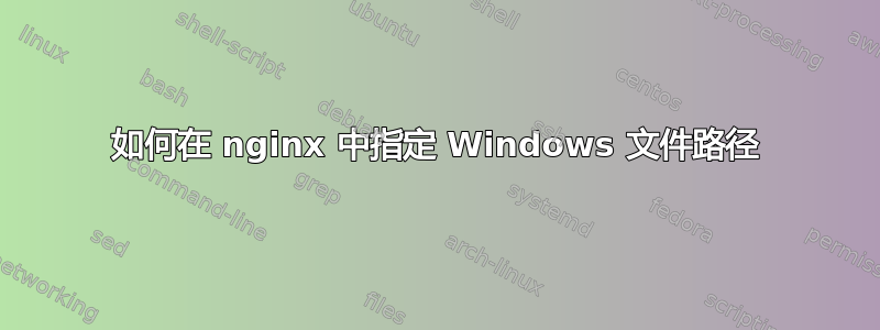 如何在 nginx 中指定 Windows 文件路径