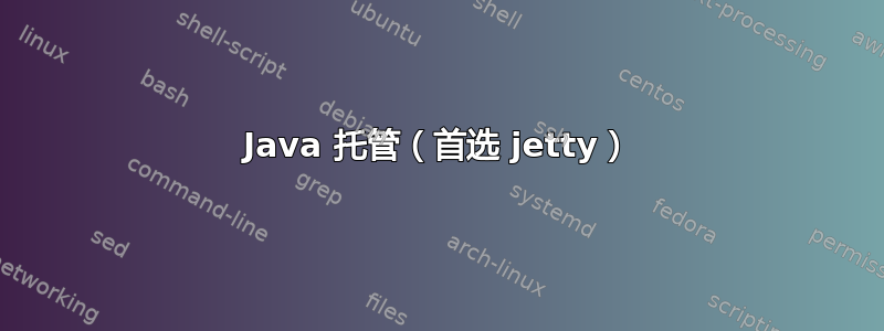 Java 托管（首选 jetty）