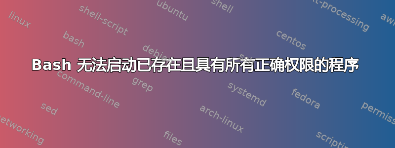 Bash 无法启动已存在且具有所有正确权限的程序