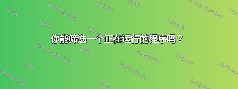 你能筛选一个正在运行的程序吗？