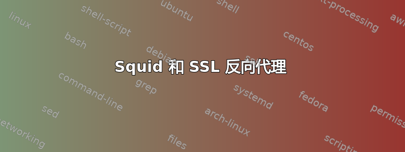 Squid 和 SSL 反向代理