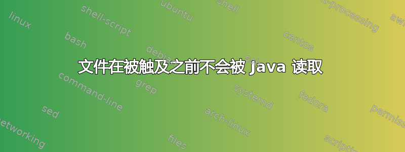 文件在被触及之前不会被 Java 读取