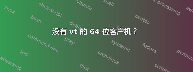 没有 vt 的 64 位客户机？