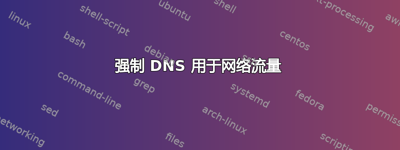 强制 DNS 用于网络流量