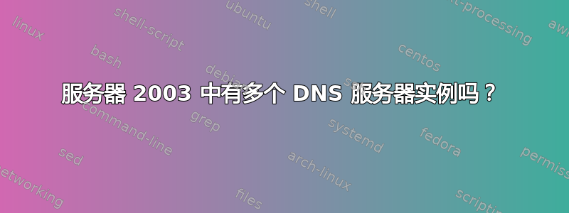 服务器 2003 中有多个 DNS 服务器实例吗？