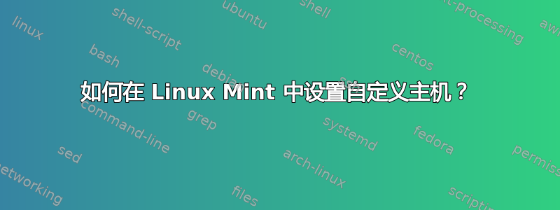 如何在 Linux Mint 中设置自定义主机？