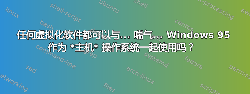 任何虚拟化软件都可以与... 喘气... Windows 95 作为 *主机* 操作系统一起使用吗？ 