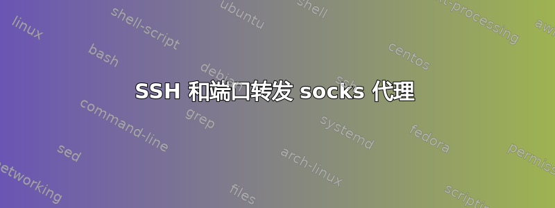 SSH 和端口转发 socks 代理