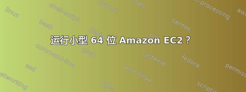 运行小型 64 位 Amazon EC2？