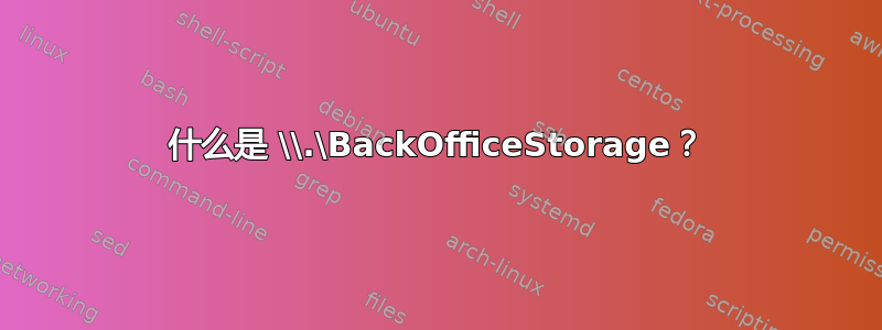 什么是 \\.\BackOfficeStorage？