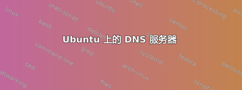 Ubuntu 上的 DNS 服务器