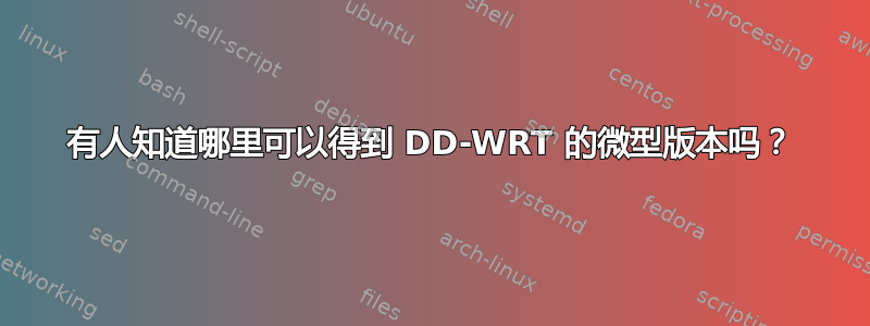 有人知道哪里可以得到 DD-WRT 的微型版本吗？