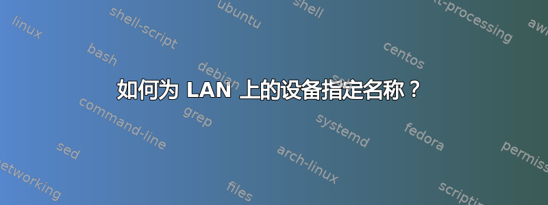 如何为 LAN 上的设备指定名称？