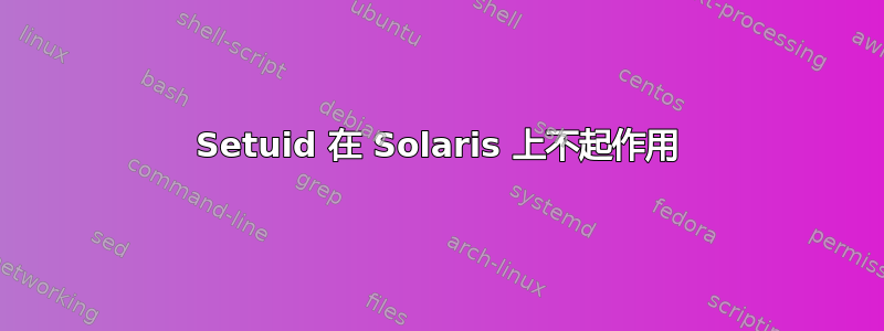 Setuid 在 Solaris 上不起作用