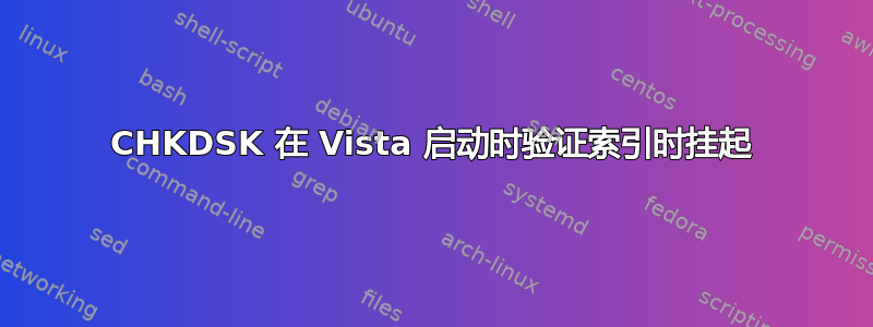 CHKDSK 在 Vista 启动时验证索引时挂起