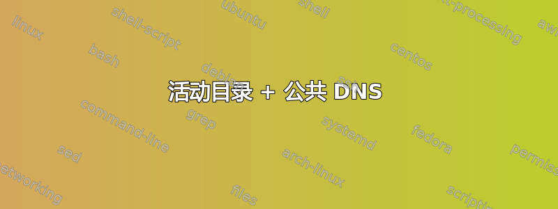 活动目录 + 公共 DNS