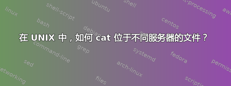 在 UNIX 中，如何 cat 位于不同服务器的文件？