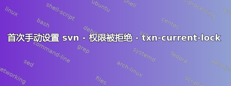 首次手动设置 svn - 权限被拒绝 - txn-current-lock