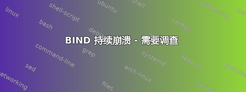 BIND 持续崩溃 - 需要调查