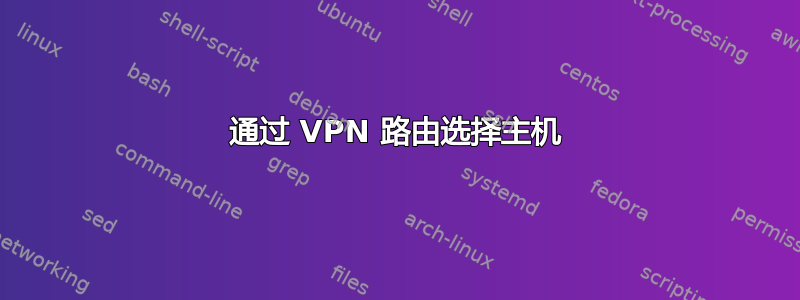 通过 VPN 路由选择主机