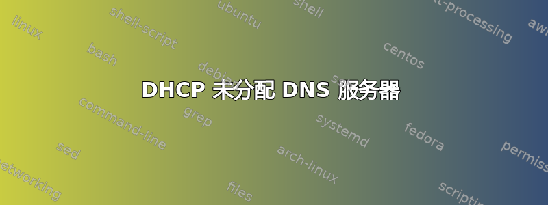 DHCP 未分配 DNS 服务器