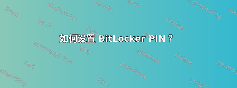 如何设置 BitLocker PIN？