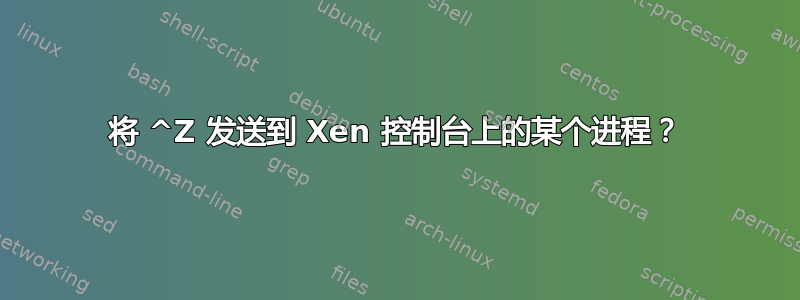 将 ^Z 发送到 Xen 控制台上的某个进程？