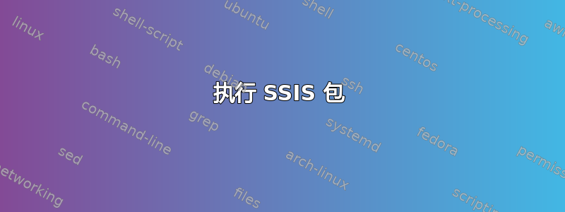 执行 SSIS 包