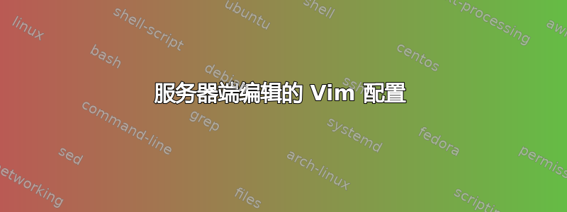 服务器端编辑的 Vim 配置