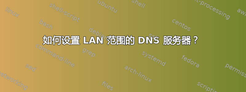 如何设置 LAN 范围的 DNS 服务器？