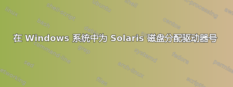 在 Windows 系统中为 Solaris 磁盘分配驱动器号