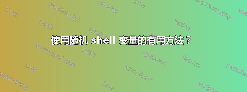 使用随机 shell 变量的有用方法？