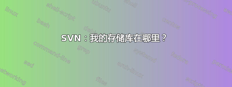 SVN：我的存储库在哪里？