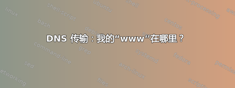 DNS 传输：我的“www”在哪里？