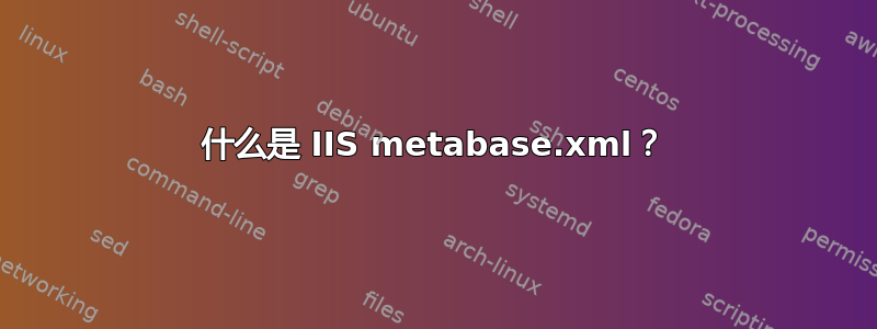 什么是 IIS metabase.xml？