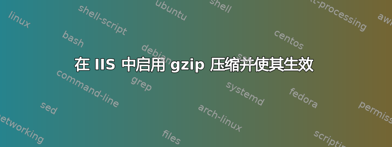 在 IIS 中启用 gzip 压缩并使其生效