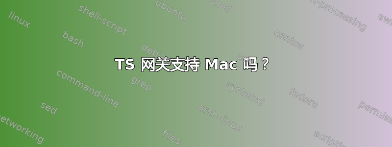 TS 网关支持 Mac 吗？