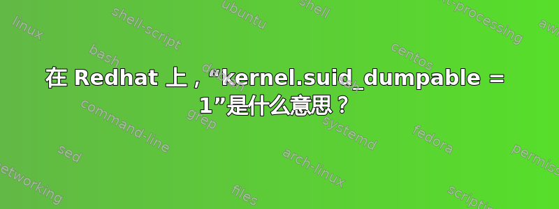 在 Redhat 上，“kernel.suid_dumpable = 1”是什么意思？