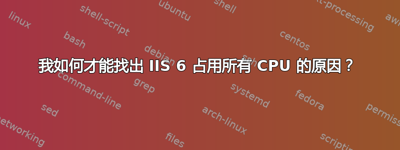 我如何才能找出 IIS 6 占用所有 CPU 的原因？