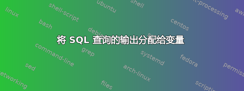 将 SQL 查询的输出分配给变量