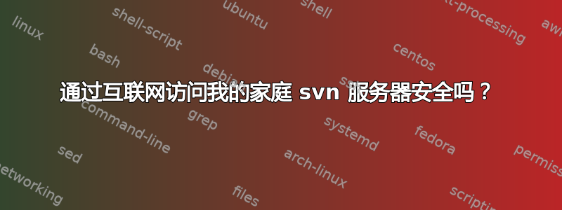 通过互联网访问我的家庭 svn 服务器安全吗？