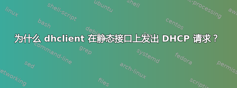 为什么 dhclient 在静态接口上发出 DHCP 请求？