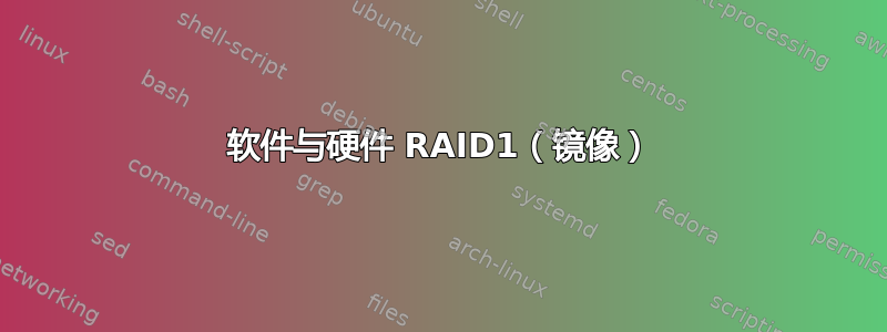 软件与硬件 RAID1（镜像）