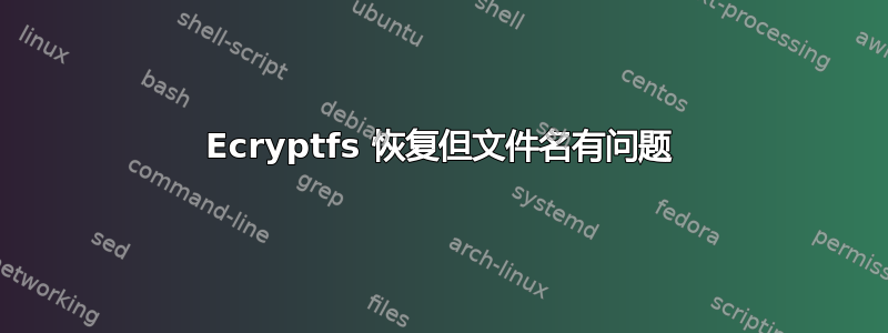 Ecryptfs 恢复但文件名有问题