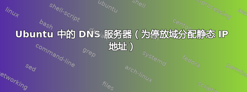 Ubuntu 中的 DNS 服务器（为停放域分配静态 IP 地址）