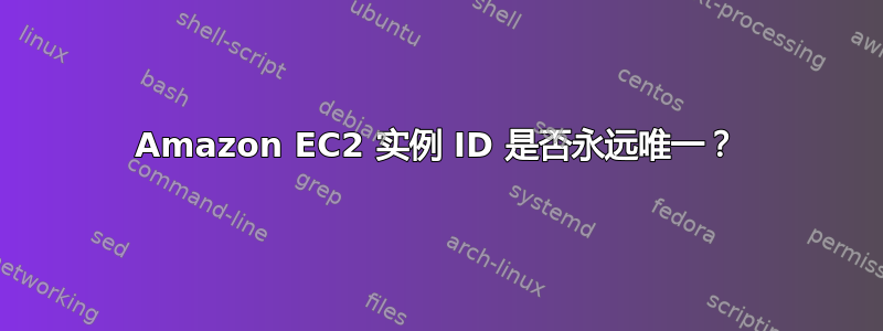 Amazon EC2 实例 ID 是否永远唯一？