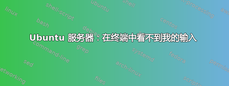 Ubuntu 服务器：在终端中看不到我的输入
