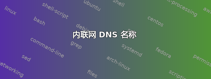 内联网 DNS 名称